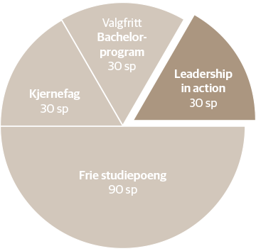 Leadership in action studiemodell