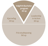 Bachelorprogram kakediagram