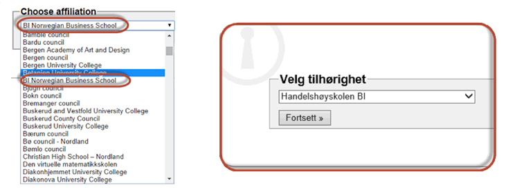 Bilde av hvordan bruke feide